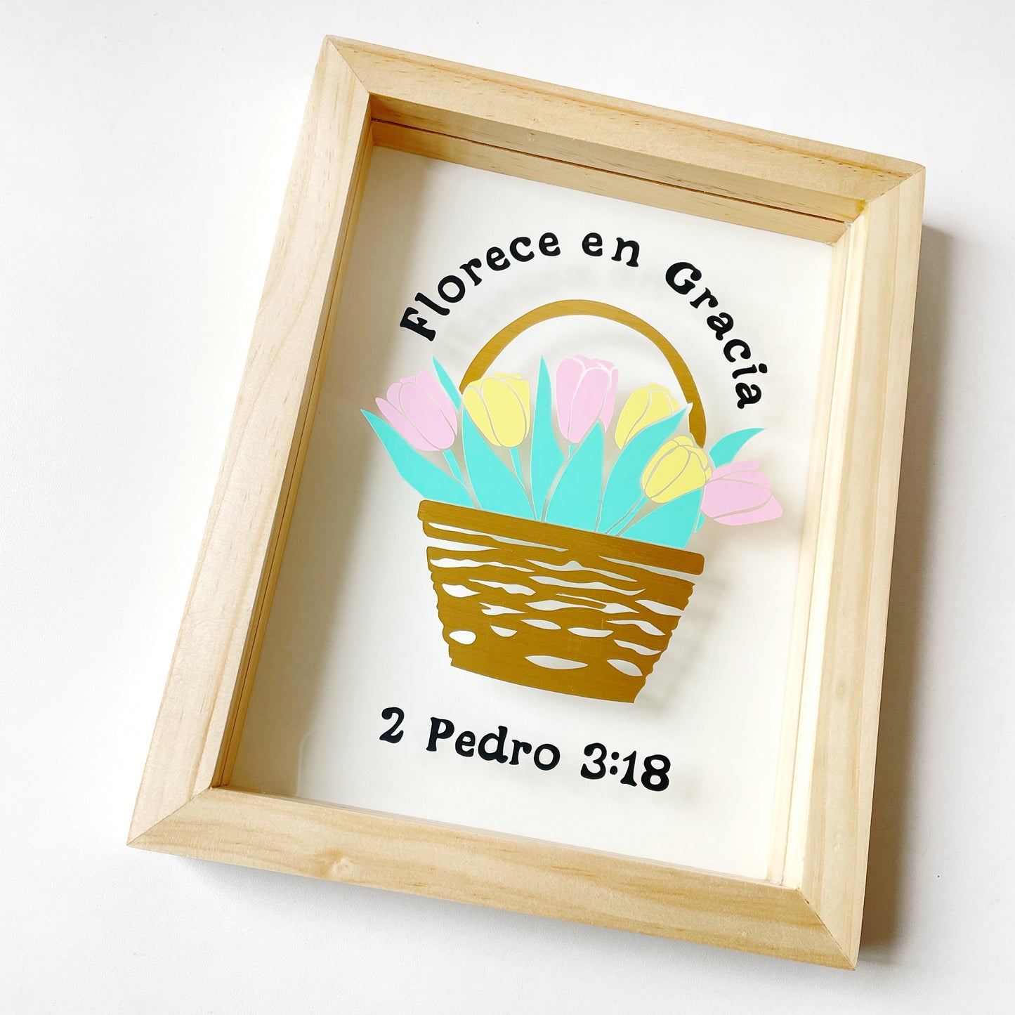 Cuadro Pino Florece en Gracia